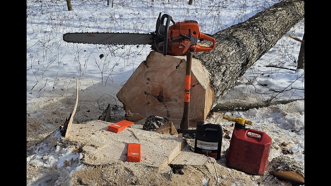 Felling Technique & Face cut "Angles" and Effect on Fiber Pull With East Coast Hard Wood Harvesting