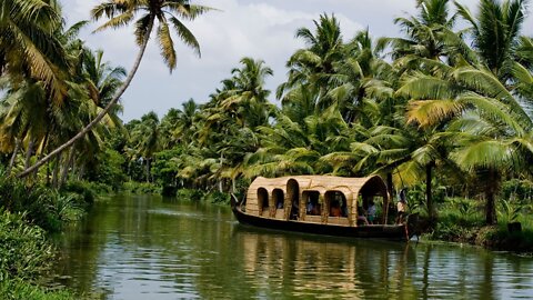 Kerala Nature