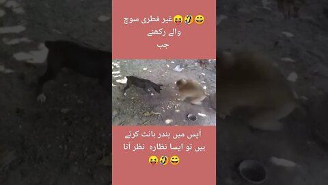 #funnyanimals, #Funnydogs, #imrankhan, #pti, #zartajgul #shorts