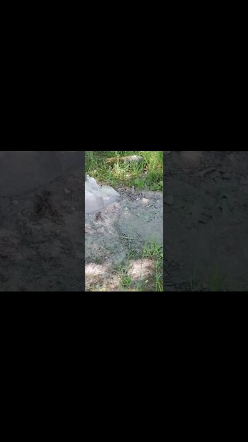 The case of the disappearing washroom and storage building?