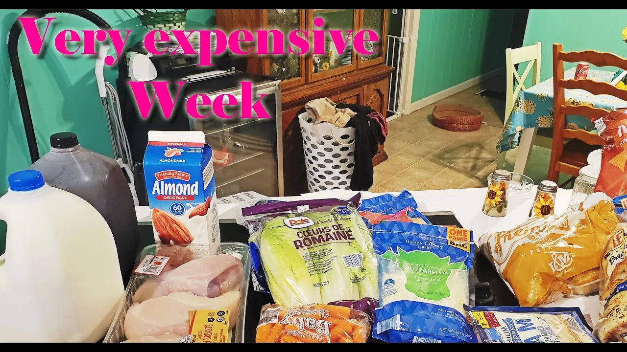 Walmart Haul/ Aldi Haul *Finding Deals* Family of 5 | Mom life |