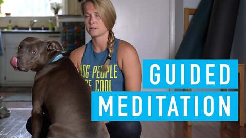 Five Minute Guided Meditation - With your Dog!