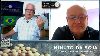 Milho nos melhores níveis do ano para exportação