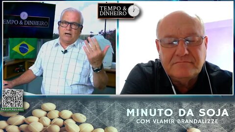 Milho nos melhores níveis do ano para exportação
