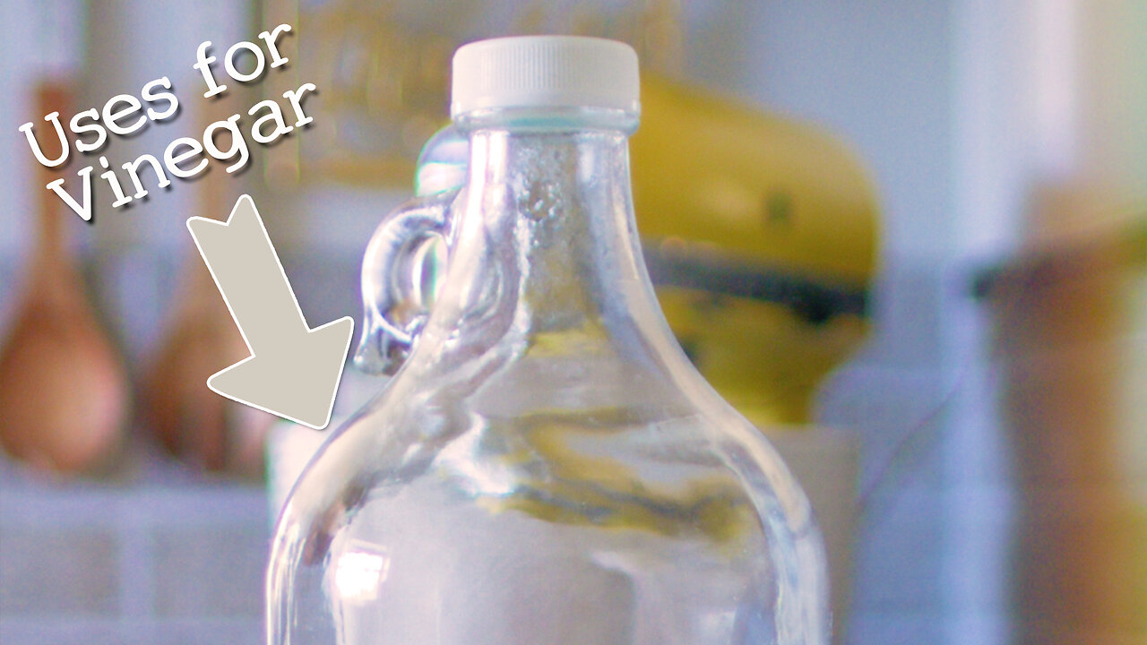 The Curious Case of Vinegar