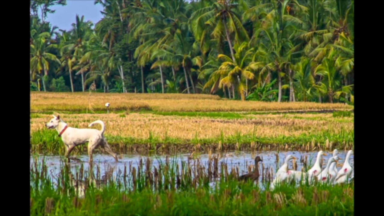 2014-08-21 - Just a Taste