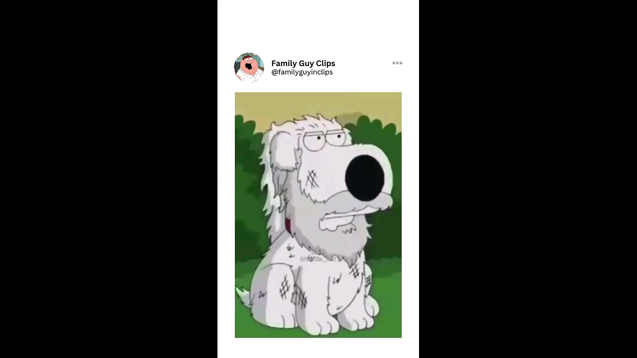 #Family guy