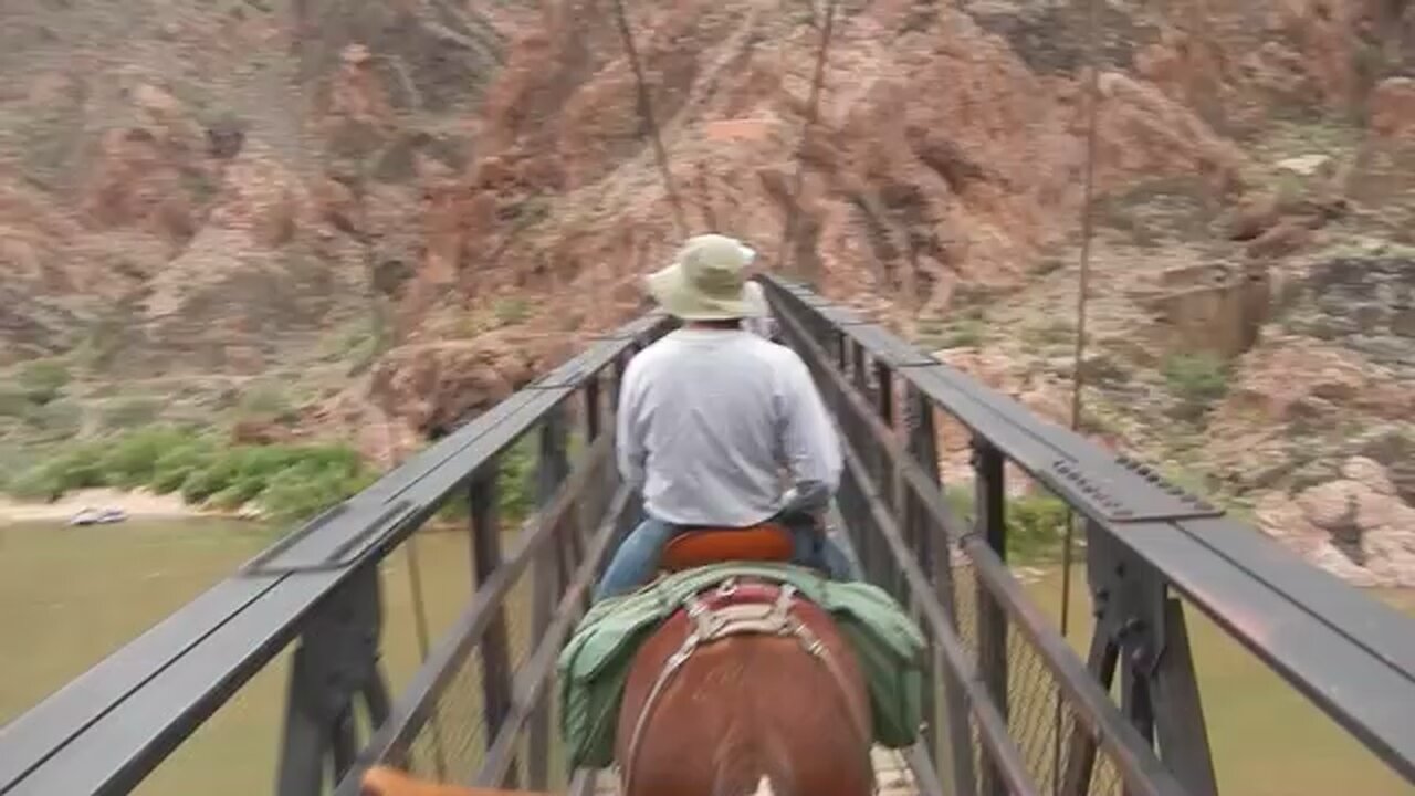 Grand Canyon Mule ride. Crossing the Colorado River at the bottom.