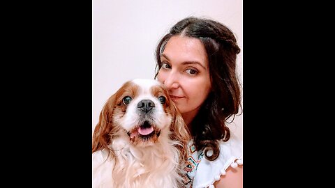 Baby dogs cute and funny dog vidéos