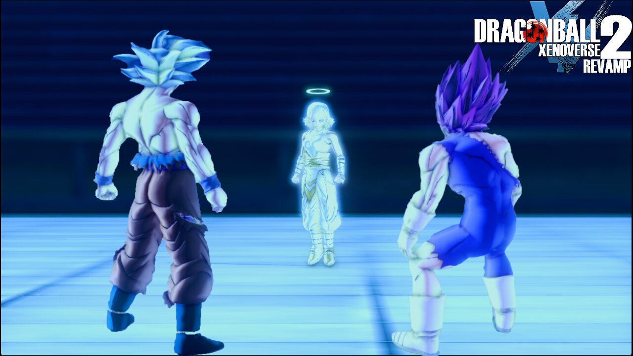 In the Realm Of Gods UI Seikatsu Vs MUI Goku & UE Vegeta - Dragonball Xenoverse 2 Revamp 5.0