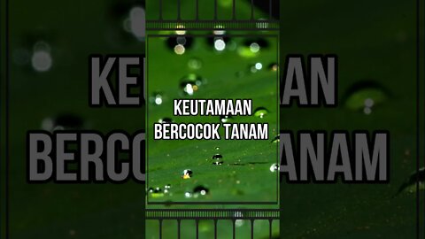 Keutamaan bercocok tanam dan bertani