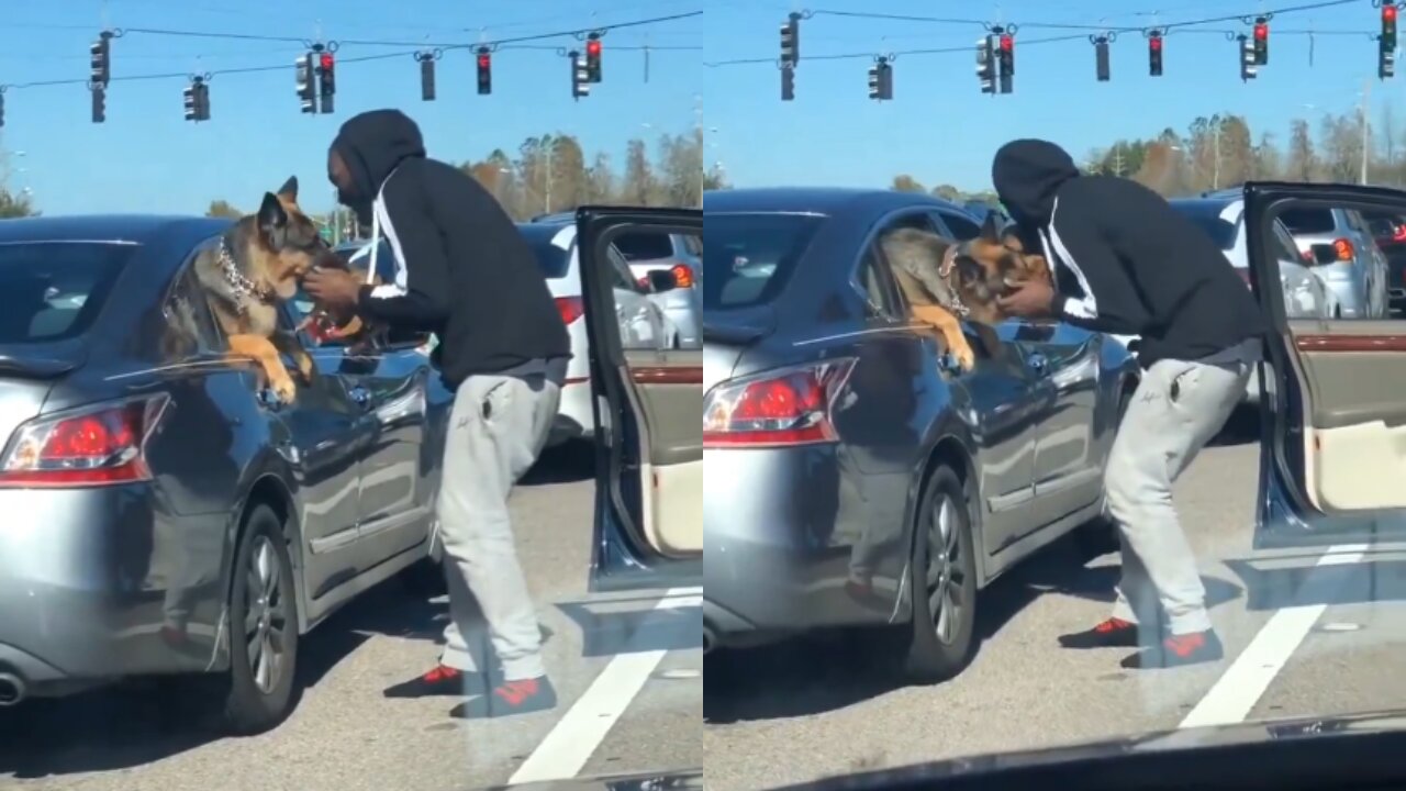 Man Introduces His Puppy to Another Dog in Traffic