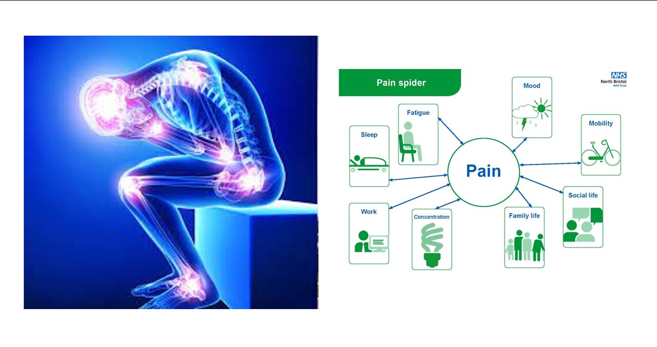The Natural Pain Killer - PEA (Palmitoylethanolamide)