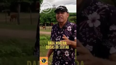 DADÁ MOREIRA COISAS DO SERTÃO , MUSICALIZANDO