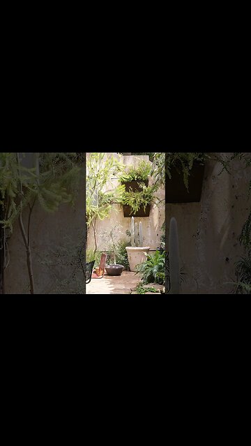 Inside Troye Sivan's Enchanting Melbourne Home: A Hidden Gem of Serenity