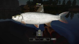 Russian Fishing 4 Volkhov River Asp 5 . 675 Kg