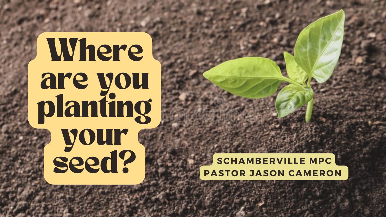 Where Are You Planting Your Seed?