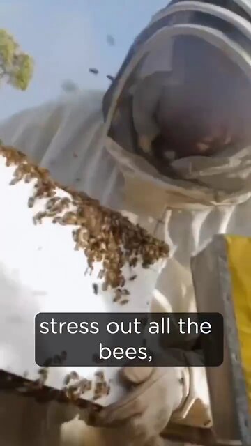 Documentary: Honeycomb Beehive System
