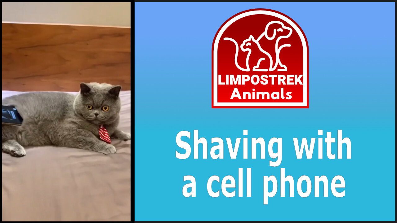 Shaving with a cell phone