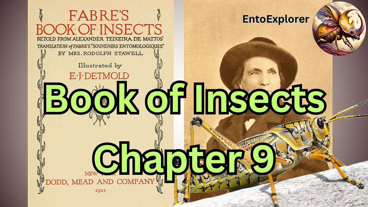 Life of the Grasshoppers - Book of Insects Chapter 9 by Jean-Henri Fabre