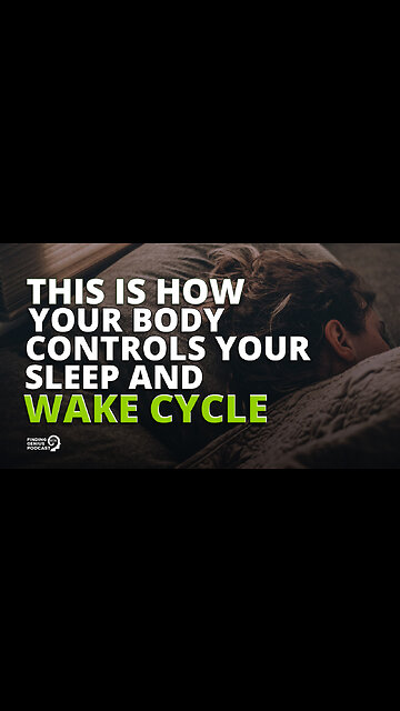 This Is How Your Body Controls Your Sleep and Wake Cycle