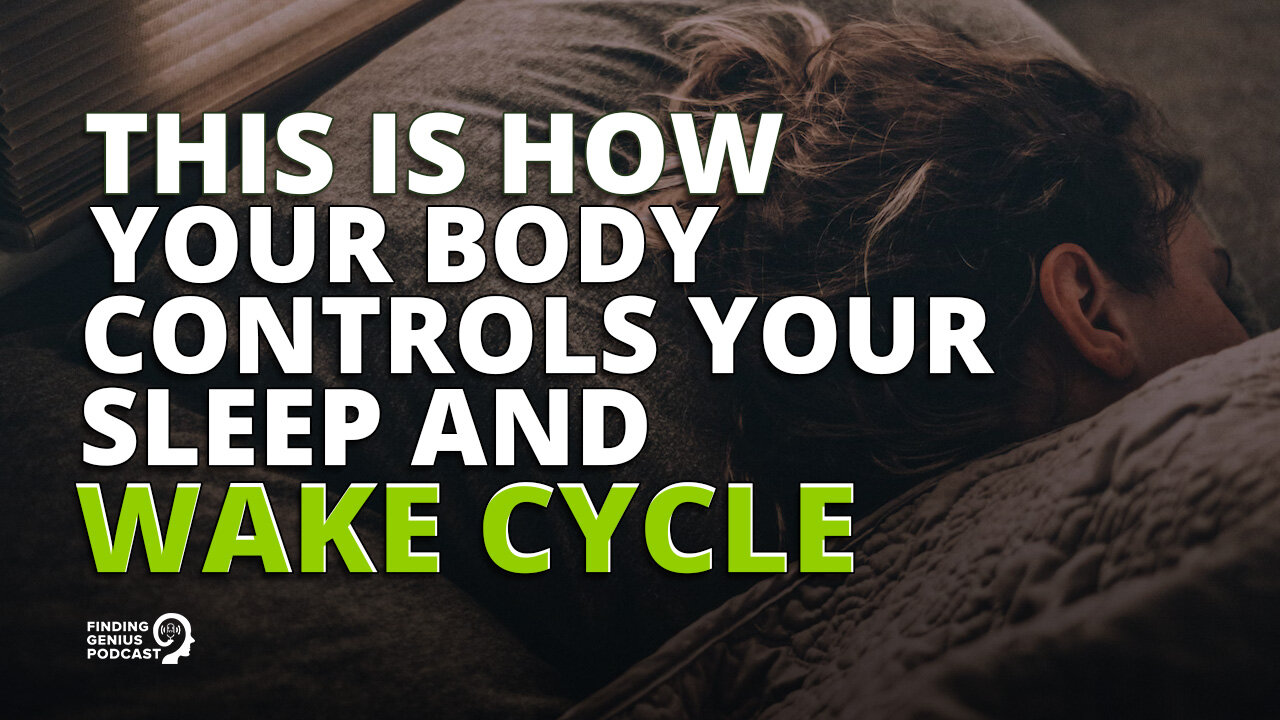 This Is How Your Body Controls Your Sleep and Wake Cycle