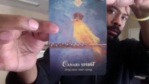 Libra Jan 2020 Tarot: Don't Isolate Yourself in your Relationship