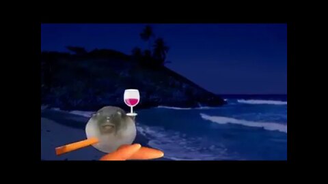 vídeo complemente sem noção!