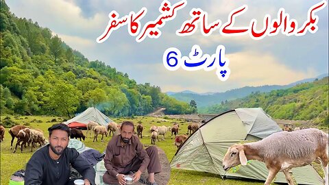 Bakrwals Traveling in Kashmir | PART 6 | Nomads Life