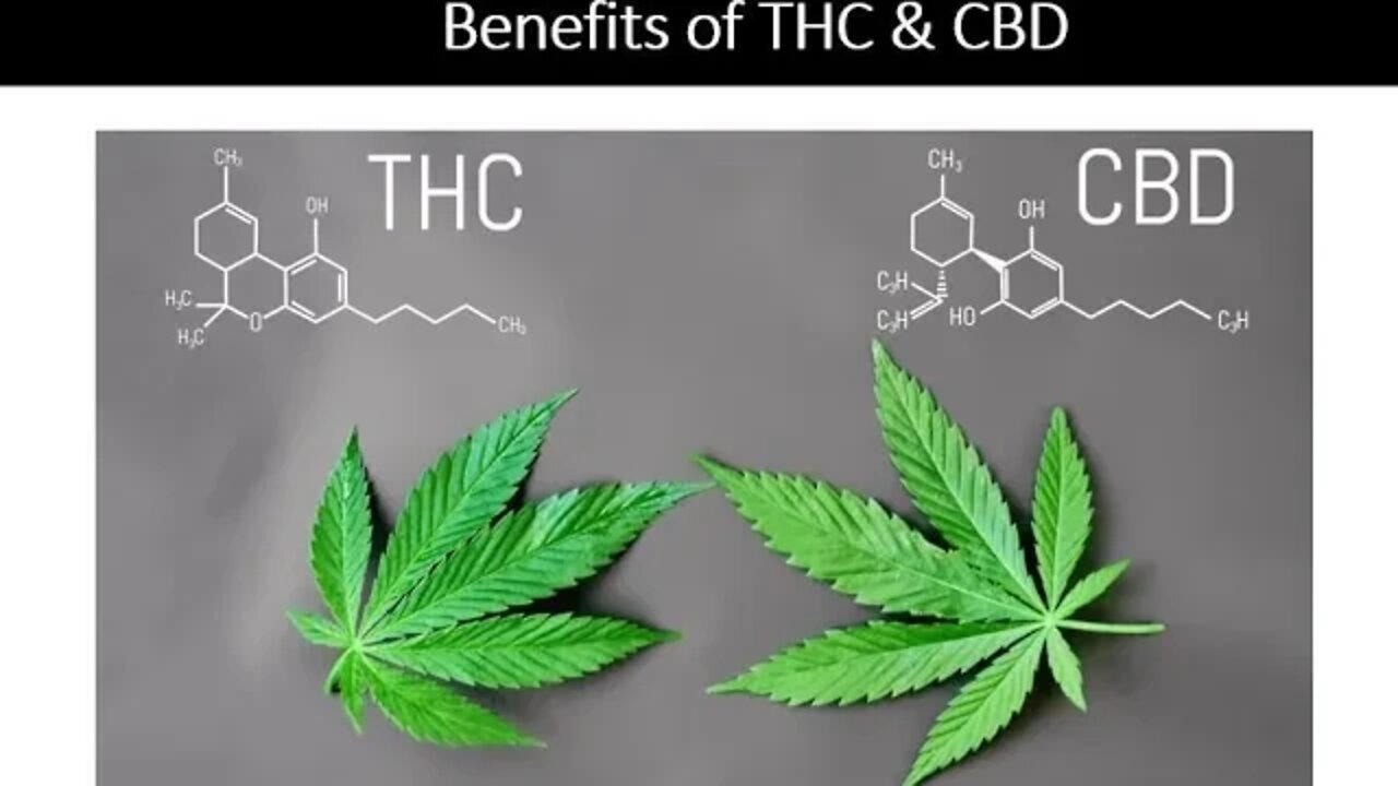 THC & CBD Benefits, Uses & Side Effects