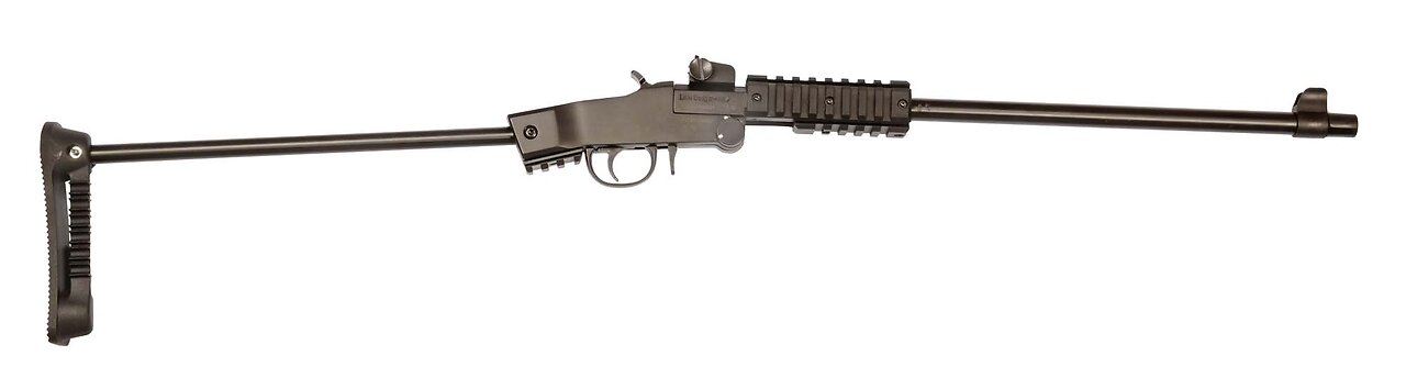Little Badger Take Down Xtreme Rifle 22LR/16.5″BBL