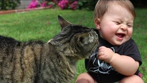 Cats funny video with children 😄