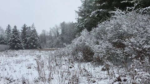 Binbrook Conservation Area