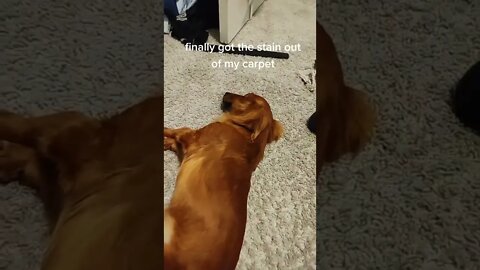 very dirty carpet