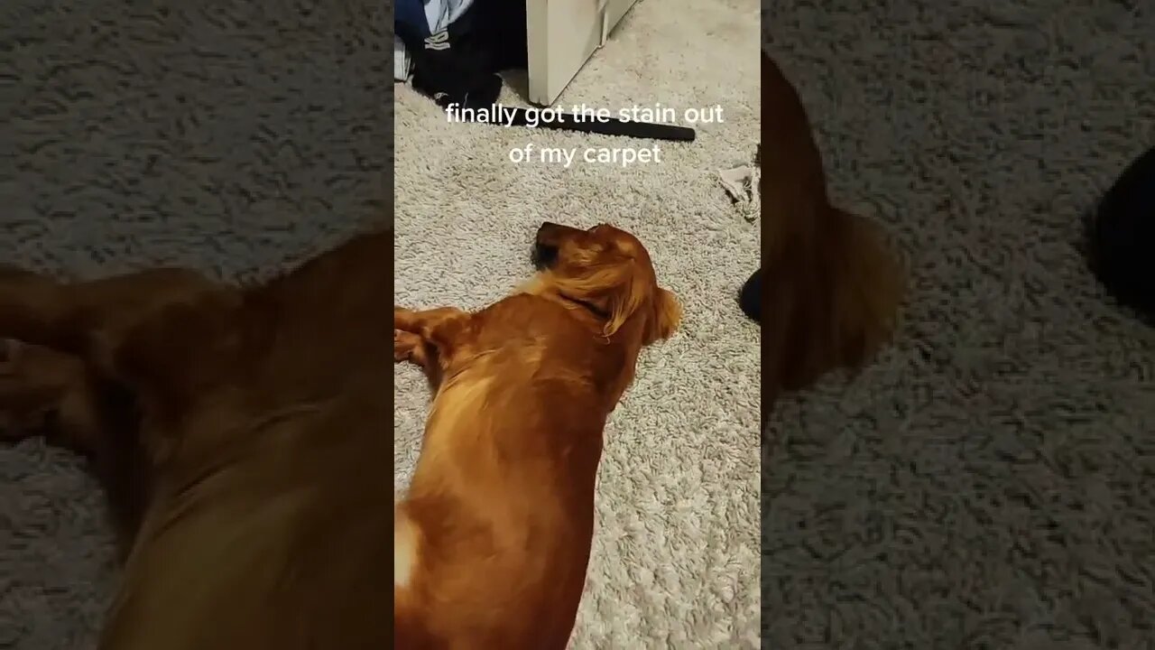 very dirty carpet