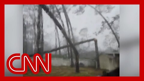 'Noooo!': Woman captures moment tree fell on her home