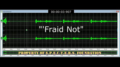 SF2020 Case 01 EVP Fraid Not