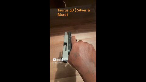 Taurus g3 (silver & black)