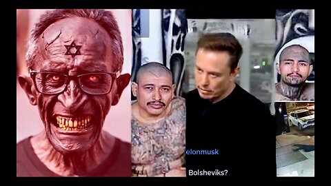 Tucker Carlson Putin Interview Exposes Elon Musk To Bolsheviks MS13 Play Victims Identify As Jewish