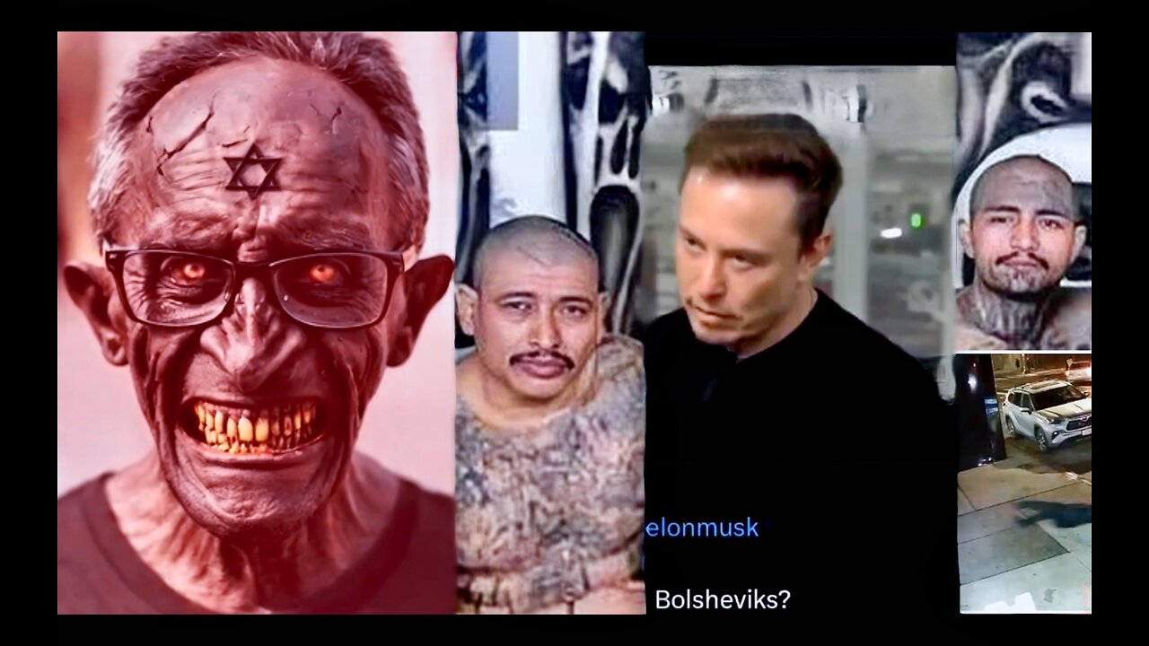 Tucker Carlson Putin Interview Exposes Elon Musk To Bolsheviks MS13 Play Victims Identify As Jewish