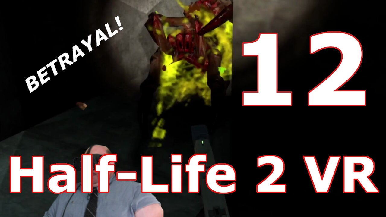 Betrayed and Headcrab to the Face! ~ [HL2VR Ep12]