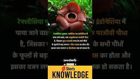 Motivational Quotes Intresting Facts lifestyle & research #shorts #ytshorts #knowledge #motivation