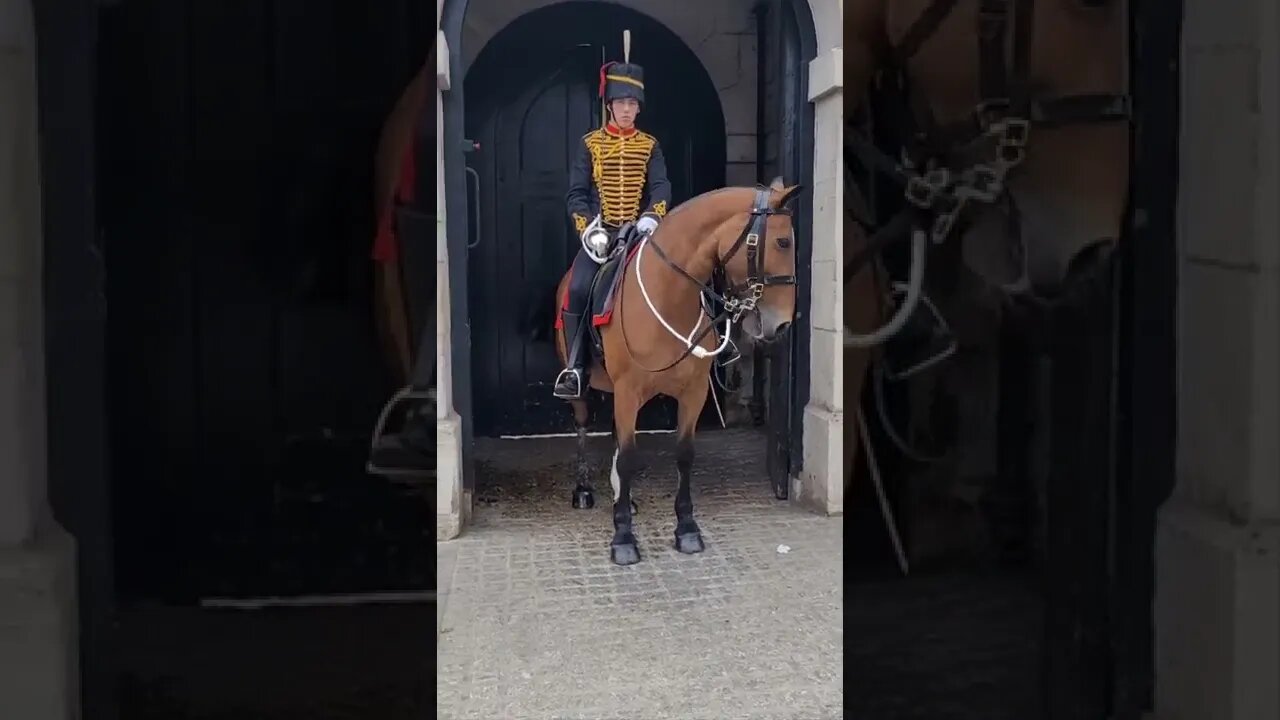 Guard shouts at Tourist stand back from the Queen's life Guards #horseguardsparade