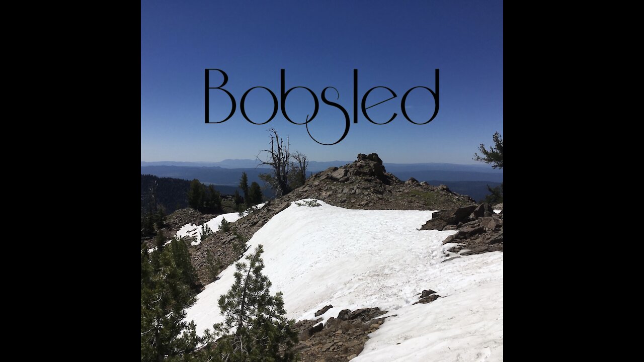 Bobsled by Lisa Borland