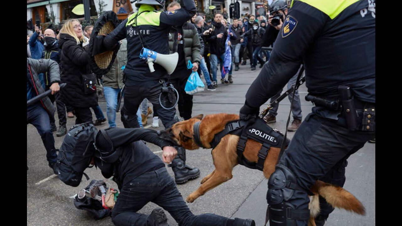 AMSTERDAM Anti-Lockdown Protestor Mauled FULL