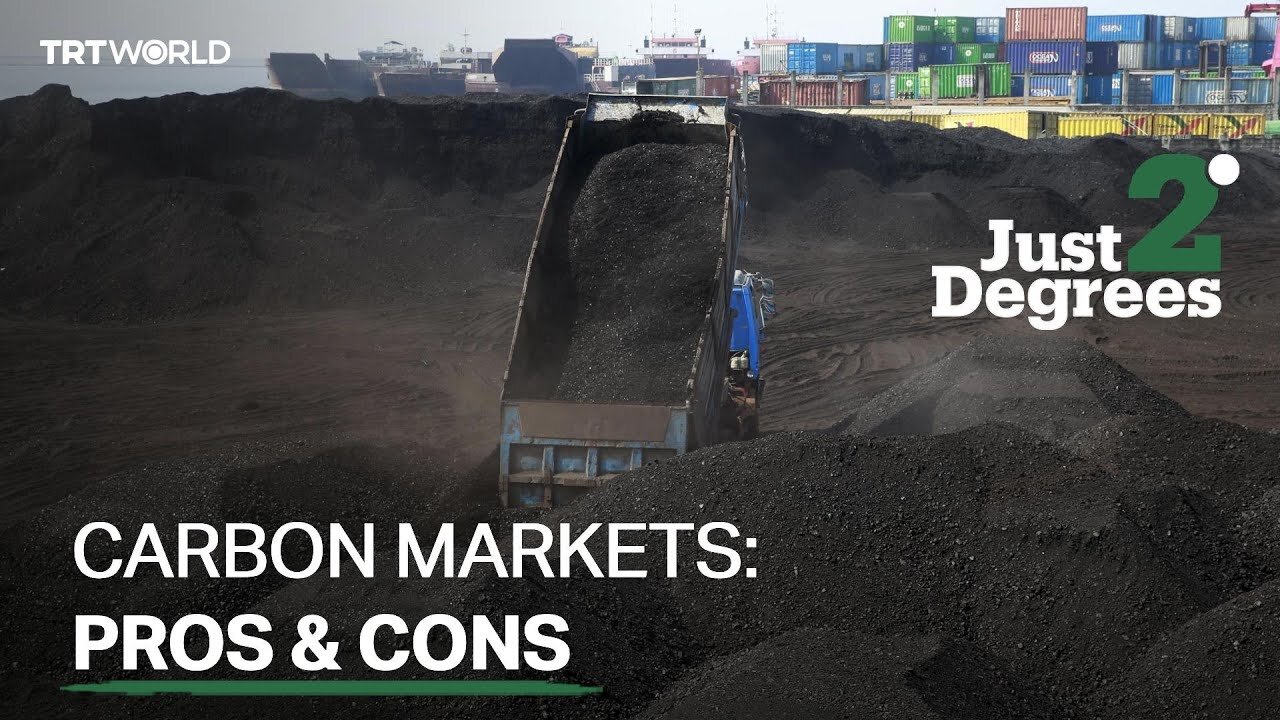 Carbon Markets: Pros & Cons