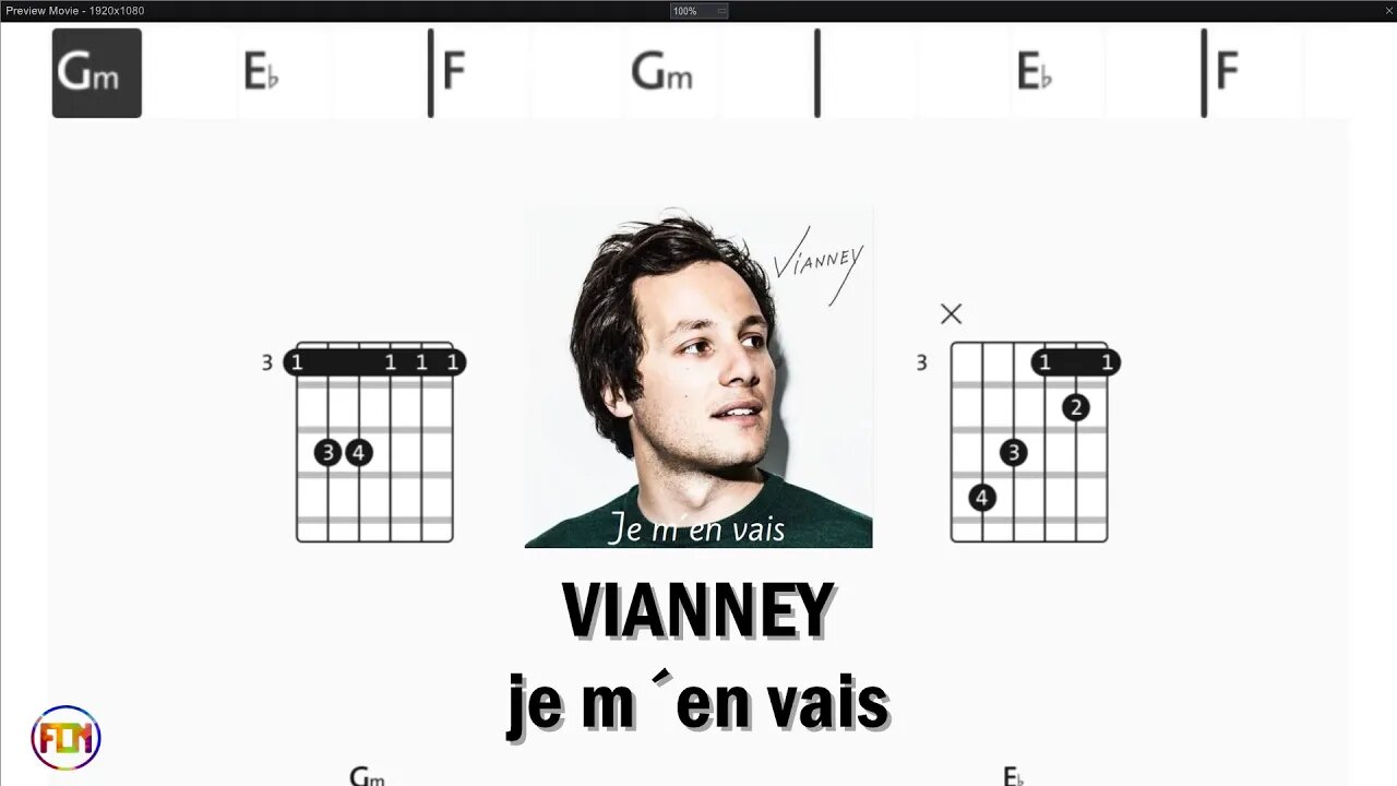 VIANNEY je m´en vais - (Chords & Lyrics like a Karaoke) HD