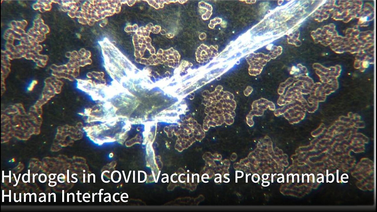 Hydrogels in COVID Vaccine as Programmable Human Interface l Greg Reese