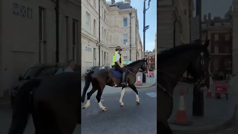 Met police horses #metpolice