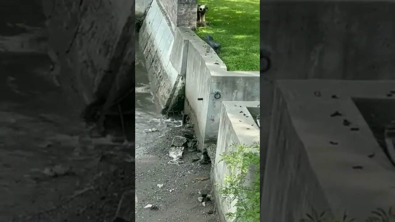 Nope…I’m taking the stairs.😳😜🐥🦢